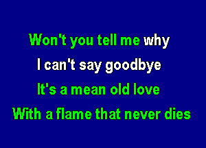 Won't you tell me why

I can't say goodbye
It's a mean old love
With a flame that never dies