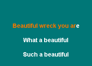 Beautiful wreck you are

What a beautiful

Such a beautiful