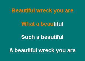 Beautiful wreck you are
What a beautiful

Such a beautiful

A beautiful wreck you are