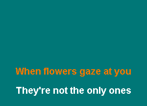 When flowers gaze at you

They're not the only ones
