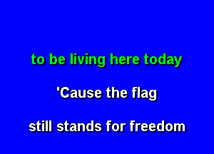 to be living here today

'Cause the flag

still stands for freedom