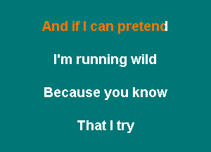 And ifl can pretend

I'm running wild
Because you know

That I try