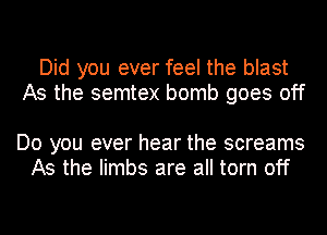 Did you ever feel the blast
As the semtex bomb goes off

Do you ever hear the screams
As the limbs are all torn off