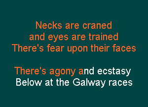 Necks are craned
and eyes are trained
There's fear upon their faces

There's agony and ecstasy
Below at the Galway races