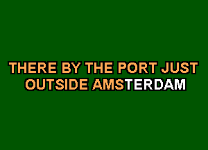 THERE BY THE PORT JUST
OUTSIDE AMSTERDAM