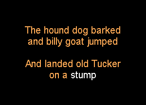 The hound dog barked
and billy goat jumped

And landed old Tucker
on a stump