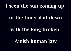 I seen the sun coming up
at the funeral at dawn
With the long broken

Amish human law