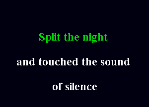 Split the night

and touched the sound

ofsnence
