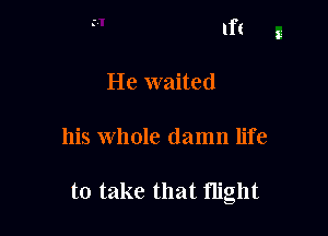 1ft

He waited

his Whole damn life

to take that flight