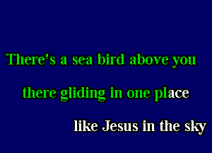There's a sea bird above you
there gliding in one place

like Jesus in the sky