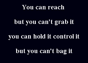 You can reach
but you can't grab it
you can hold it control it

but you can't bag it