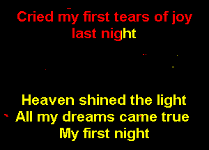 Cried niy first tears of joy
last night

Heaven shined the light
All my dreams came true
My first night
