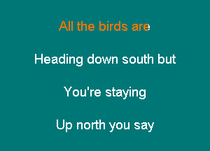 All the birds are
Heading down south but

You're staying

Up north you say