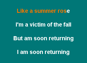 Like a summer rose

I'm a victim of the fall

But am soon returning

I am soon returning