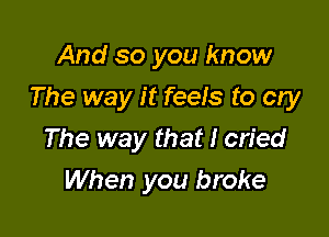 And so you know

The way it feels to cry

The way that I cried
When you broke
