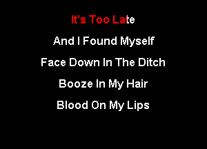 It's Too Late
And I Found Myself
Face Down In The Ditch

Booze In My Hair
Blood On My Lips