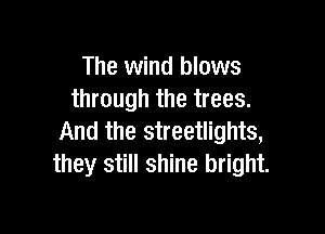 The wind blows
through the trees.

And the streetlights,
they still shine bright.