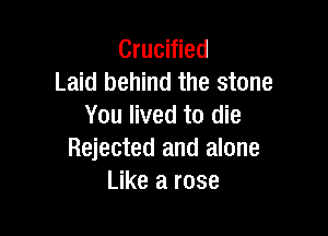 Crucified
Laid behind the stone
You lived to die

Rejected and alone
Like a rose