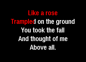 Like a rose
Trampled on the ground
You took the fall

And thought of me
Above all.