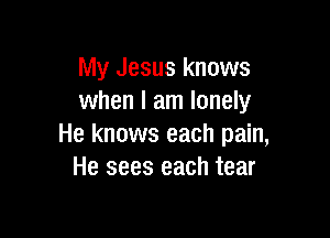 My Jesus knows
when I am lonely

He knows each pain,
He sees each tear
