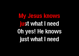 My Jesus knows
just what I need

Oh yes! He knows
just what I need