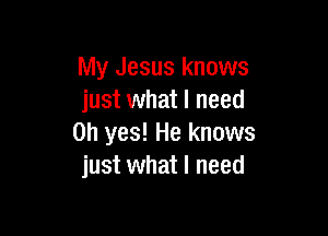 My Jesus knows
just what I need

Oh yes! He knows
just what I need