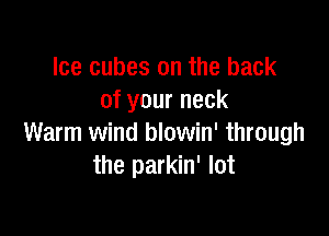 Ice cubes on the back
of your neck

Warm wind blowin' through
the parkin' lot