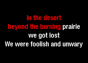 In the desert
beyond the burning prairie

we got lost
We were foolish and unwary