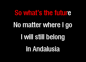 So whafs the future
No matter where I go

I will still belong

In Andalusia