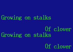 Growing on stalks

0f Clover
Growing on stalks

0f clover