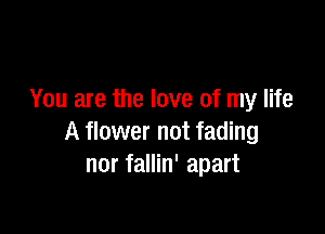 You are the love of my life

A flower not fading
nor fallin' apart