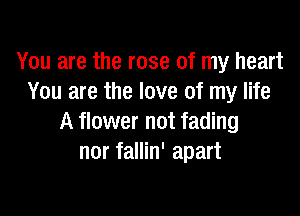 You are the rose of my heart
You are the love of my life

A flower not fading
nor fallin' apart