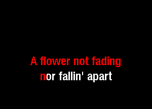 A flower not fading
nor fallin' apart