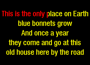 This is the only place on Earth
blue bonnets grow
And once a year
they come and go at this
old house here by the road