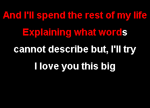 And I'll spend the rest of my life
Explaining what words
cannot describe but, I'll try

I love you this big