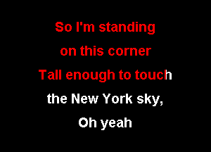 So I'm standing
on this corner

Tall enough to touch

the New York sky,
Oh yeah