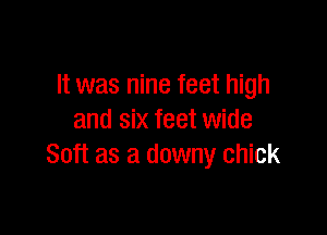 It was nine feet high

and six feet wide
Soft as a downy chick