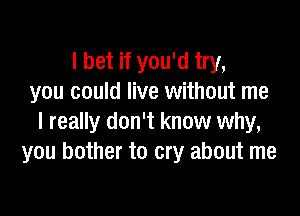 I bet if you'd try,
you could live without me

I really don't know why,
you bother to cry about me