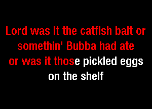 Lord was it the catfish bait or
somethin' Bubba had ate
or was it those pickled eggs
on the shelf