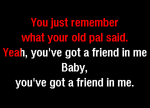 You just remember
what your old pal said.
Yeah, you've got a friend in me
Baby,
you've got a friend in me.