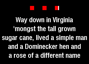 EIEIEI

Way down in Virginia
'mongst the tall grown
sugar cane, lived a simple man
and a Dominecker hen and
a rose of a different name