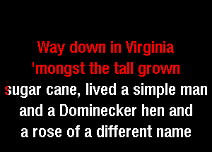 Way down in Virginia
'mongst the tall grown
sugar cane, lived a simple man
and a Dominecker hen and
a rose of a different name