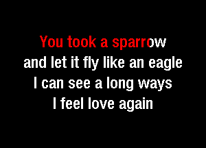You took a sparrow
and let it fly like an eagle

I can see a long ways
I feel love again