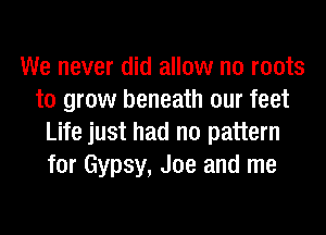 We never did allow n0 roots
to grow beneath our feet
Life just had no pattern
for Gypsy, Joe and me