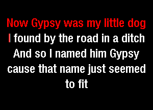 Now Gypsy was my little dog
I found by the road in a ditch
And so I named him Gypsy
cause that name just seemed
to fit
