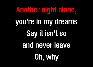 Another night alone,
you're in my dreams

Say it isn't so
and never leave
on, why