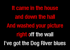 It came in the house
and down the hall
And washed your picture
right off the wall
I've got the Dog River blues