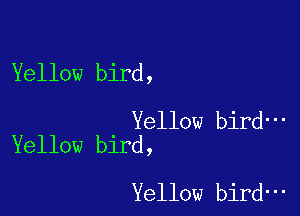 Yellow bird,

Yellow bird-
Yellow bird,

Yellow bird-