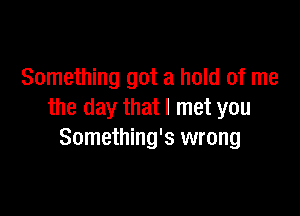 Something got a hold of me

the day that I met you
Something's wrong