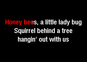 Honey bees, a little lady bug

Squirrel behind a tree
hangin' out with us